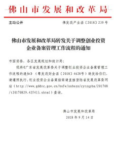 加強網絡投資管理與咨詢，助力南海經濟穩健發展