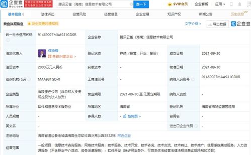 信息系統集成服務 構建高效數字化生態的基石