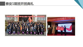 鍛造組織韌性，厚植文化根基——泰開集團企業組織打造與文化建設專題培訓暨文化藝術交流活動圓滿落幕